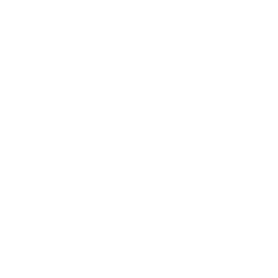 icone déforestation