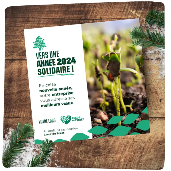 Visuel "vers une année 2024 solidaire"