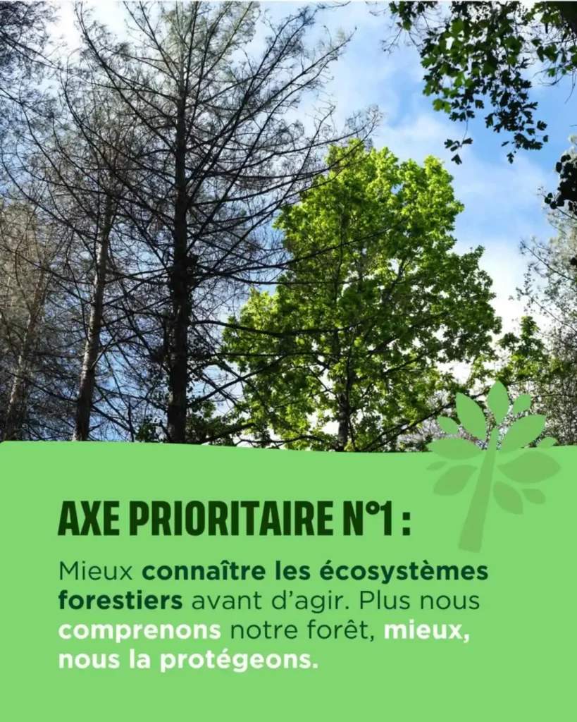 Axe prioritaire n°1