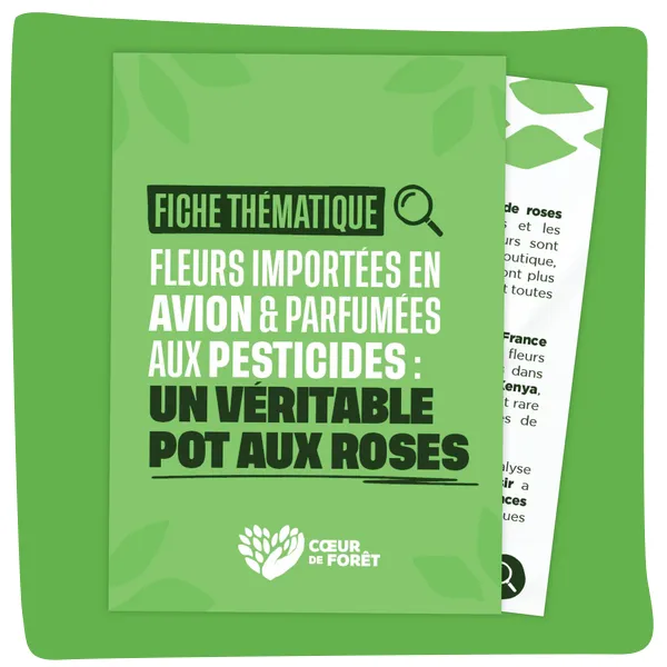 Fleurs importées en avion et parfumées aux presticides : un véritable pot aux roses