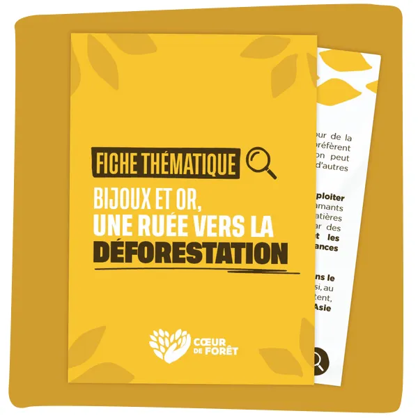 Bijoux et or, une ruée vers la déforestation