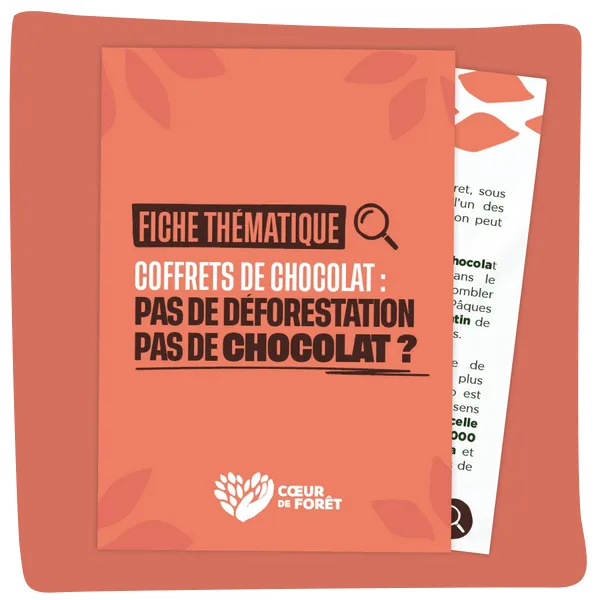 Coffrets de chocolat : pas de déforestation, pas de chocolat