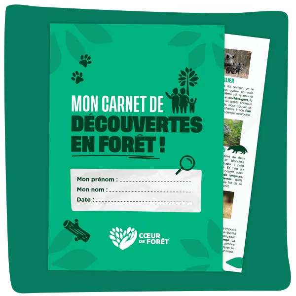Visuel Mon carnet de découvertes en forêt