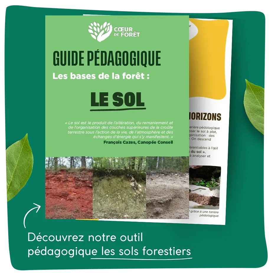Guide pédagogique
