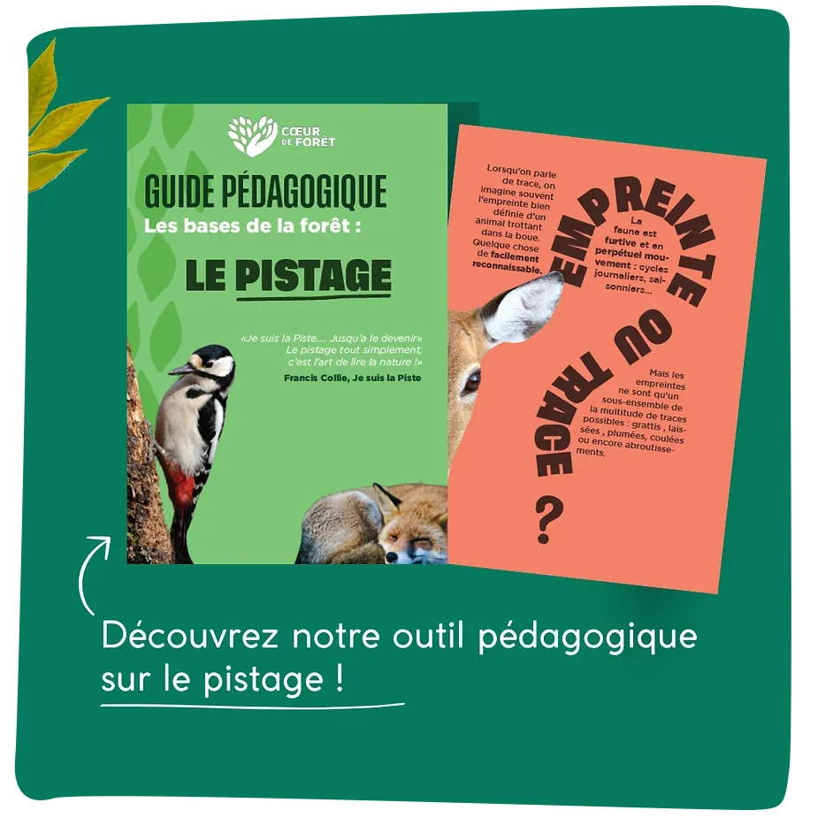Outils pédagogique sur le pistage
