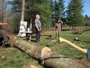 Hommes aux bords de la forêt