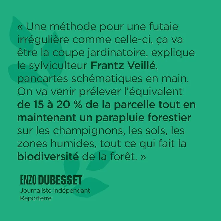 Témoignage Enzo Dubesset