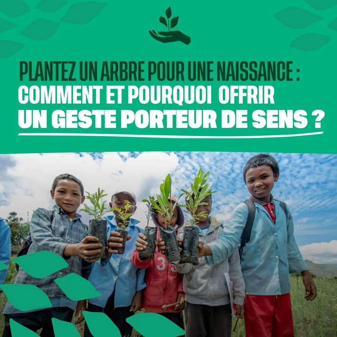 Plantez un arbre pour une naissance : comment et pourquoi offrir un geste porteur de sens ?