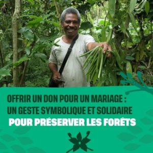 0ffrir un don pour un mariage : un geste symbolique pour préserver les forêts