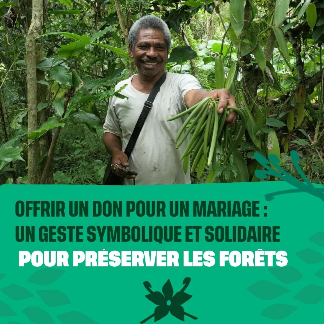 0ffrir un don pour un mariage : un geste symbolique pour préserver les forêts