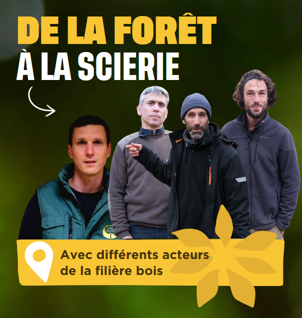 De la forêt à la scierie, avec différents acteurs de la filière bois