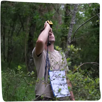 Homme observe à la jumelle dans la forêt