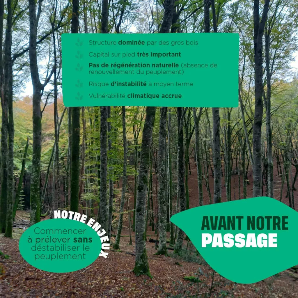 des travaux raisonnés