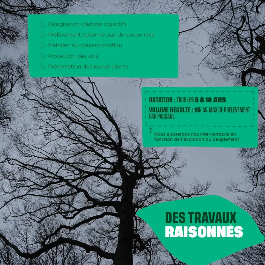travaux raisonnés