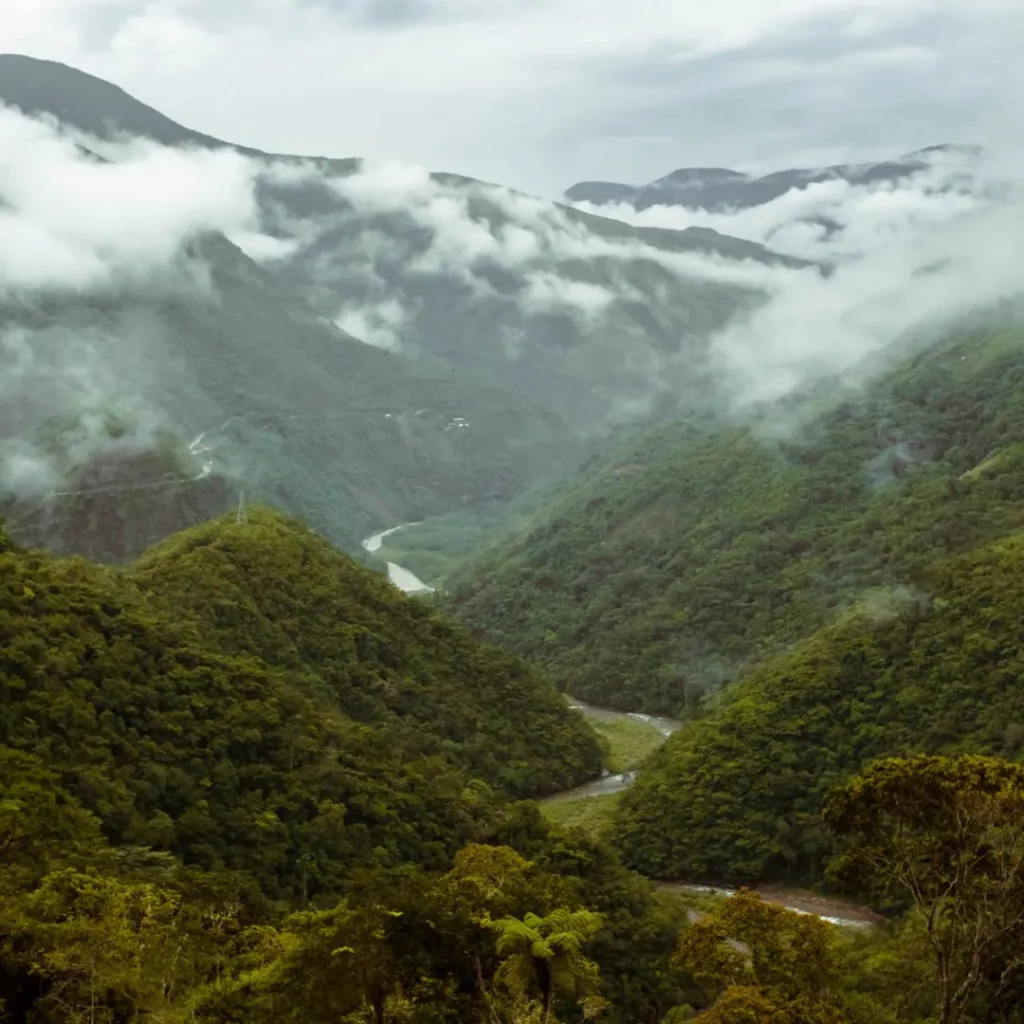 Vallée avec une rivière entourée de forêt