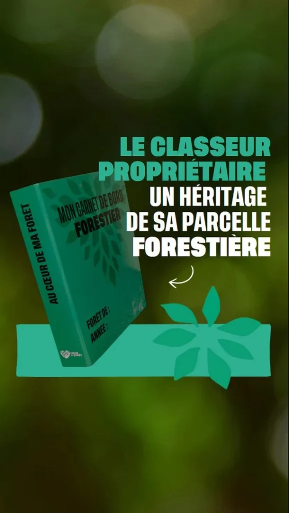 Le classeur propriétaire un héritage de sa parcelle forestière