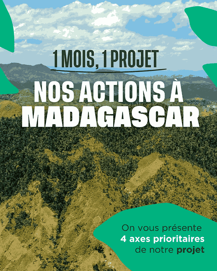 1 mois, 1 projet : Les actions de Cœur de Forêt à Madagascar