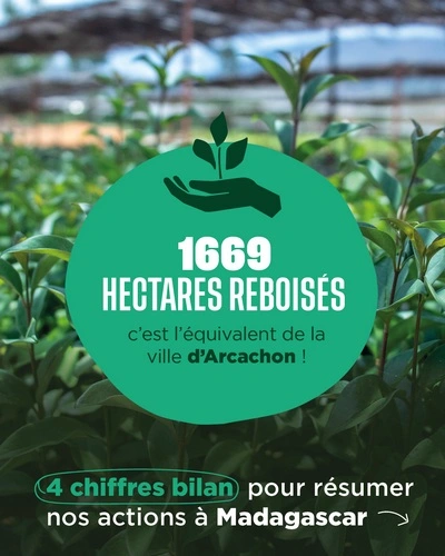 1669 hectares reboisés
