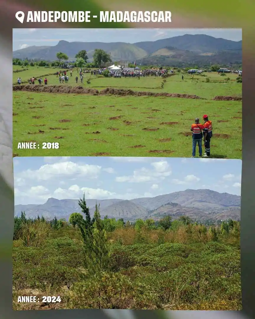 avant/après madagascar