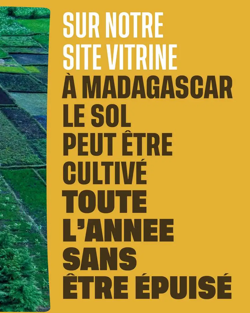 site vitrine madagascar
