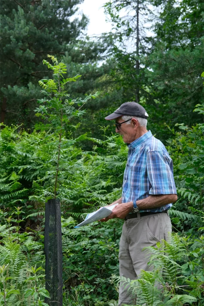 Homme dans la forêt