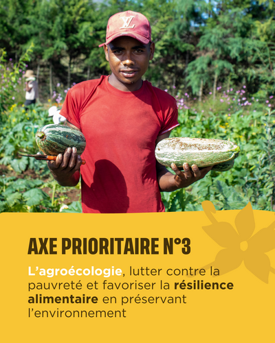visuel sur l'axe prioritaire n3