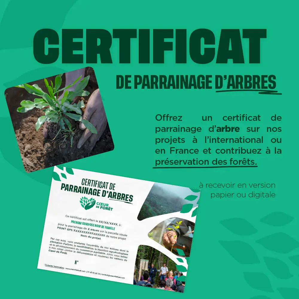 Certificat de parrainage d'arbres