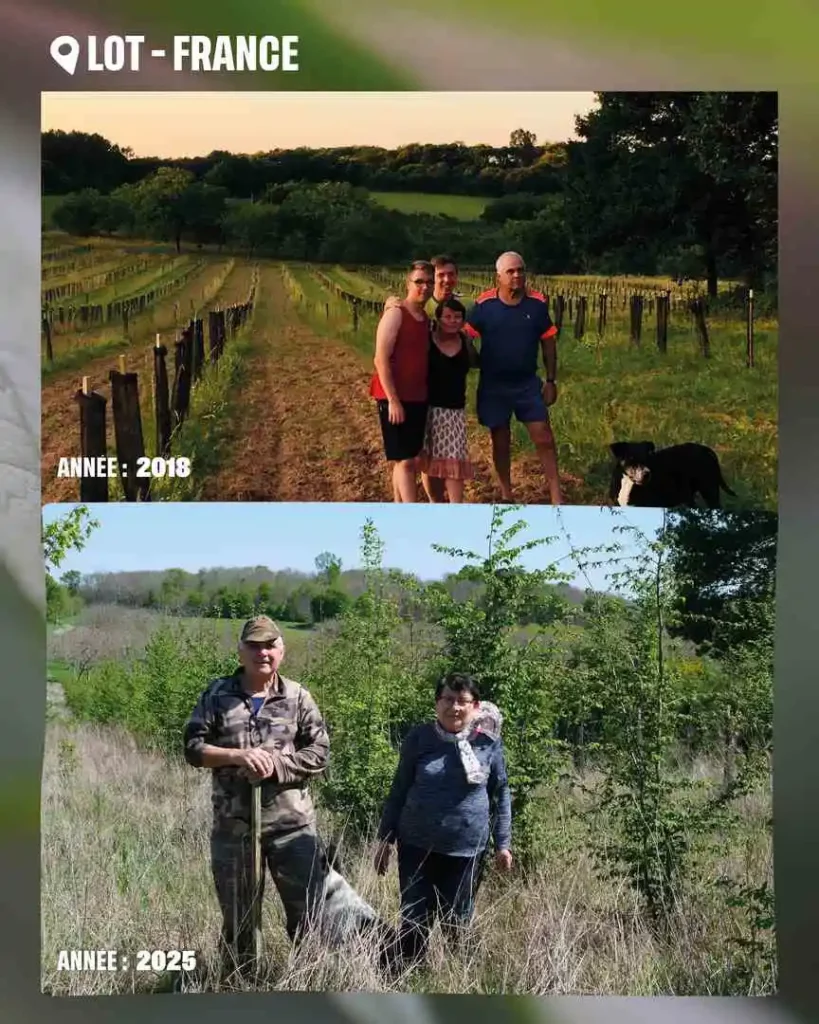 Avant après terrain LOT