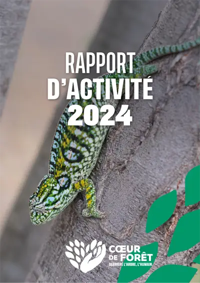 INTRO_RAPPORT-ACTIVITE_2024