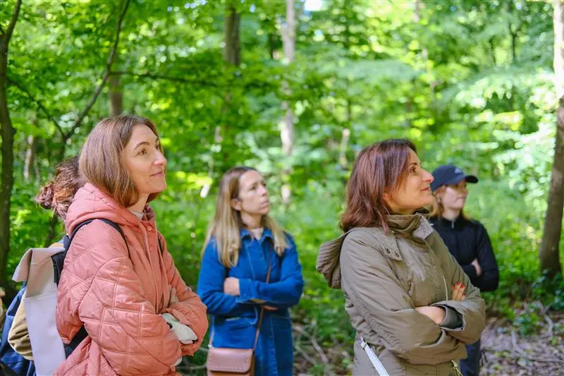 photo balade en forêt