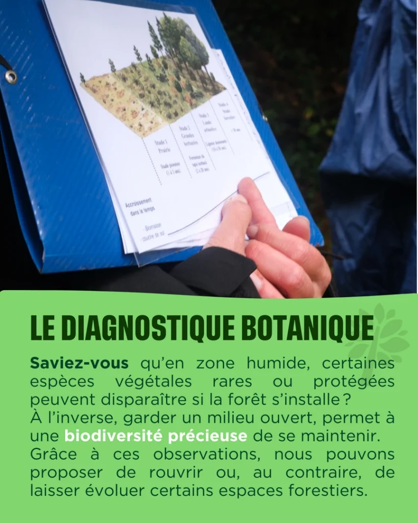 Diagnostique botanique
