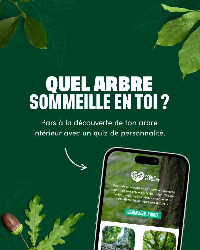 visuel "quel arbre sommeil en toi"