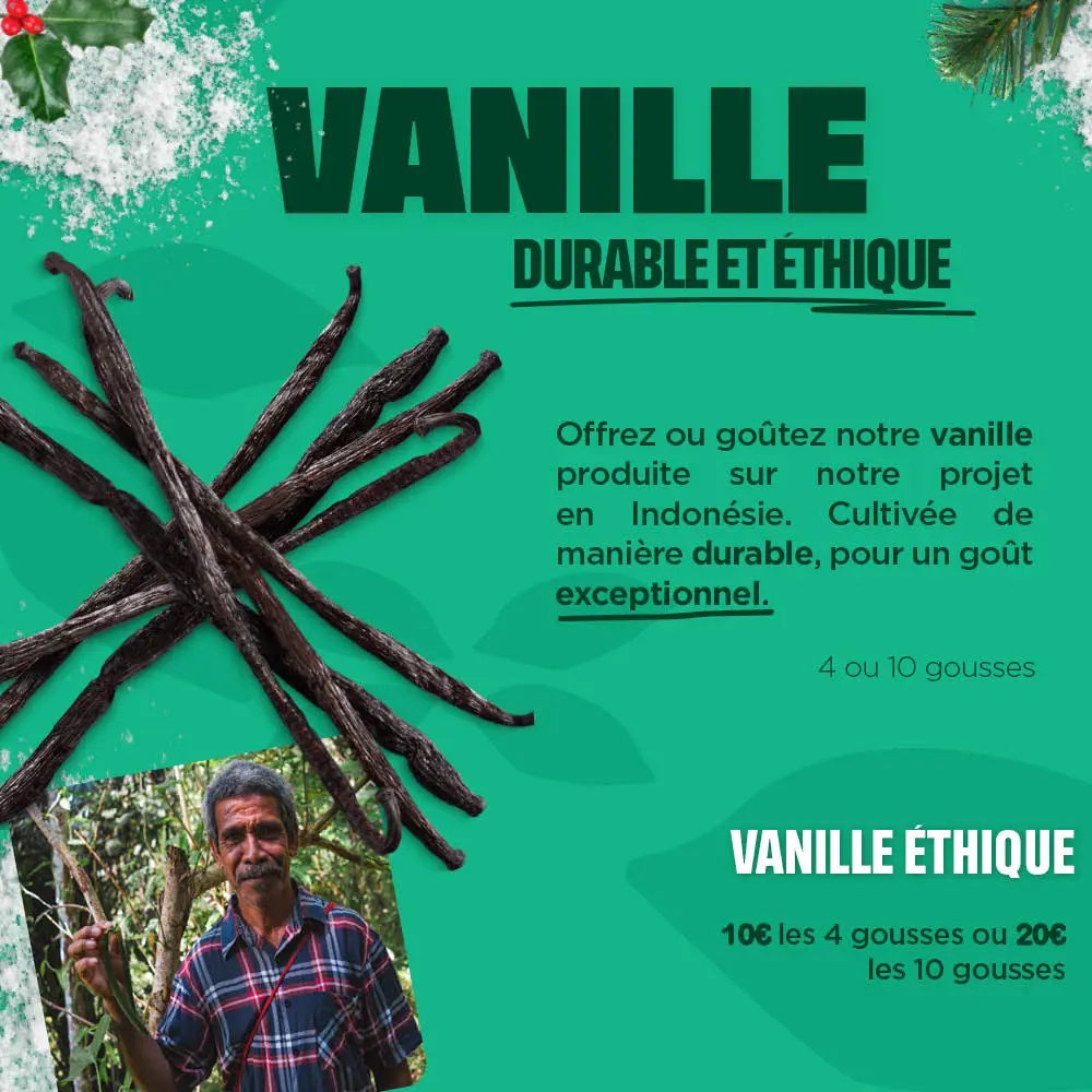 Offrez de la vanille équitable pour les fêtes