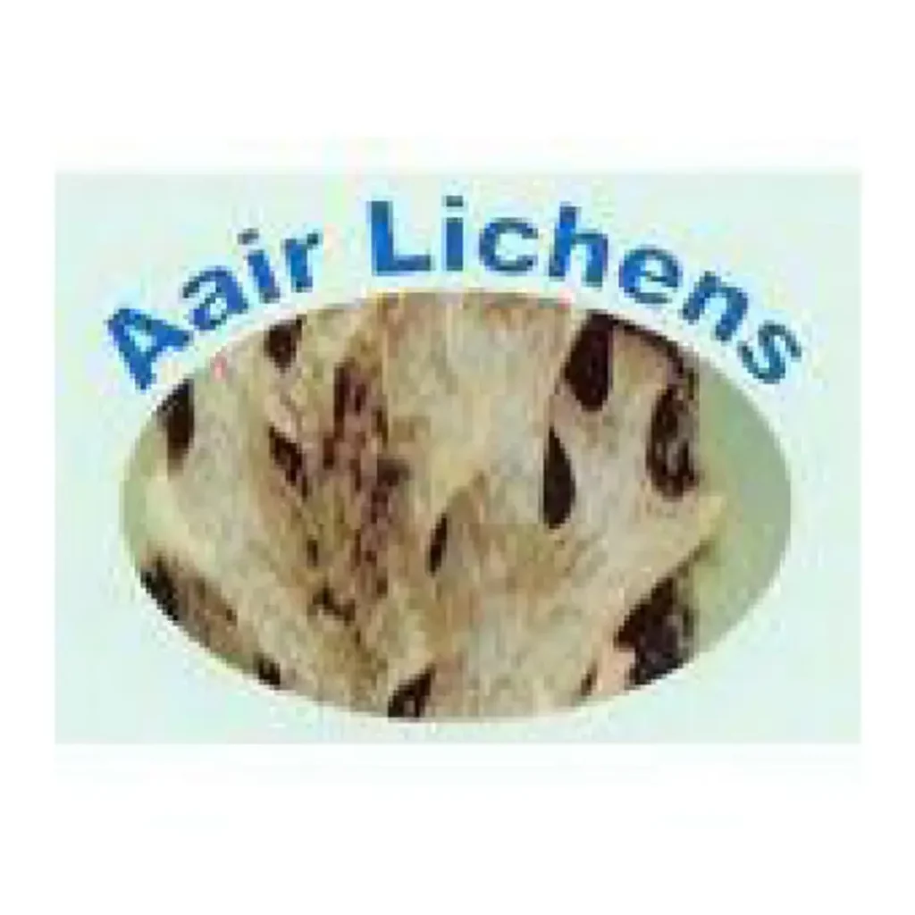 Logo Aair lichen