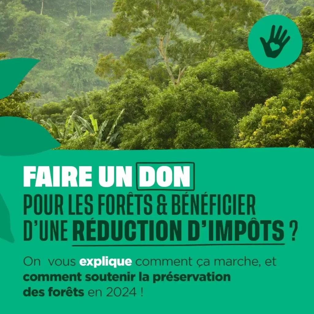 Faire un don pour les forêts et bénéficier d"une réduction d'impôts ?