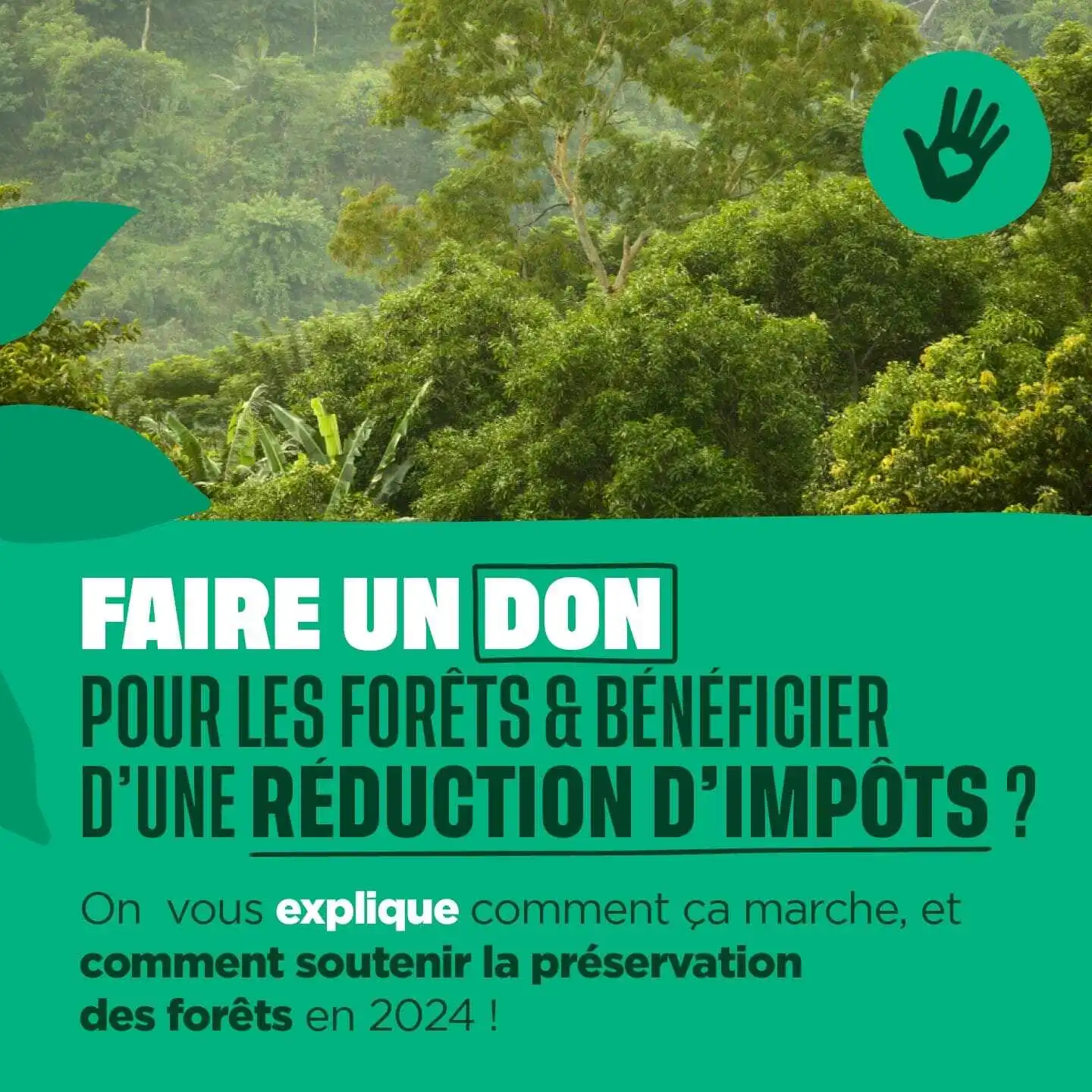 Faire un don pour les forêts et bénéficier d"une réduction d'impôts ?