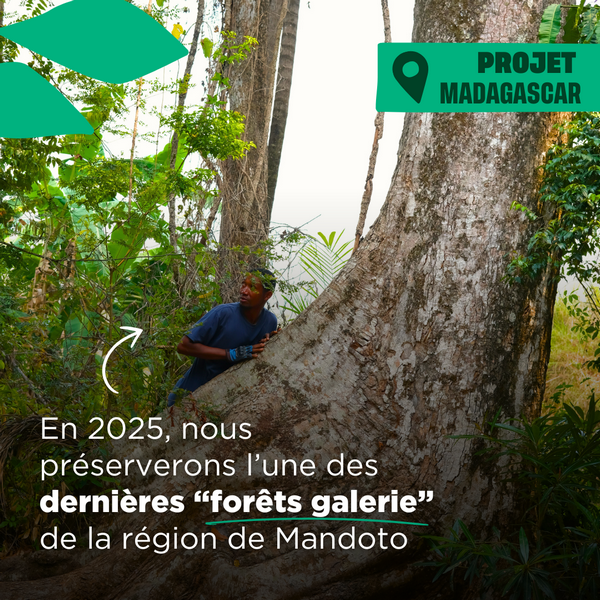 Projet Madagascar : en 2025 nous préserverons l'une des dernières "forêts galeries" de la région de Mandoto
