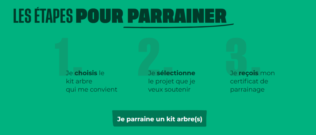 les étapes pour parrainer un arbre