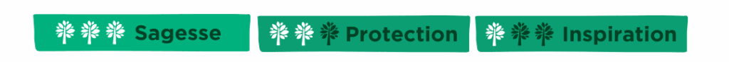 Trois boutons : Sagesse - Protection - Inspiration