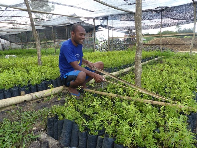 pépiniériste sur notre projet