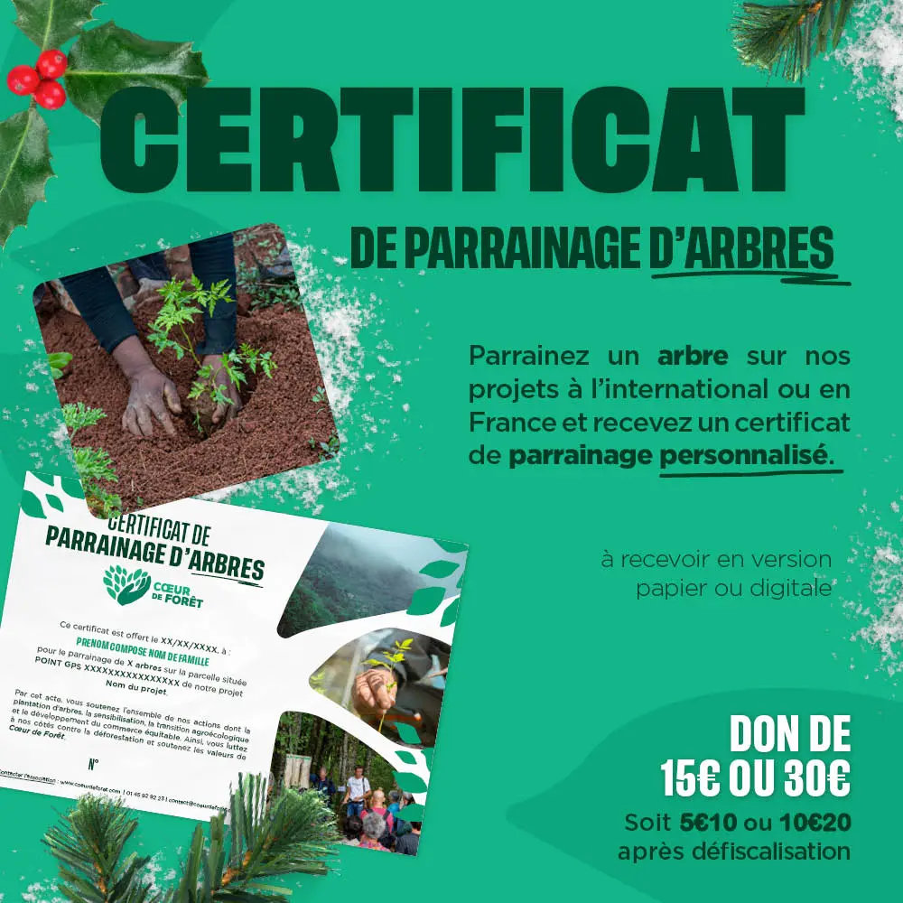 Offrez un parrainage d'arbre pour un proche
