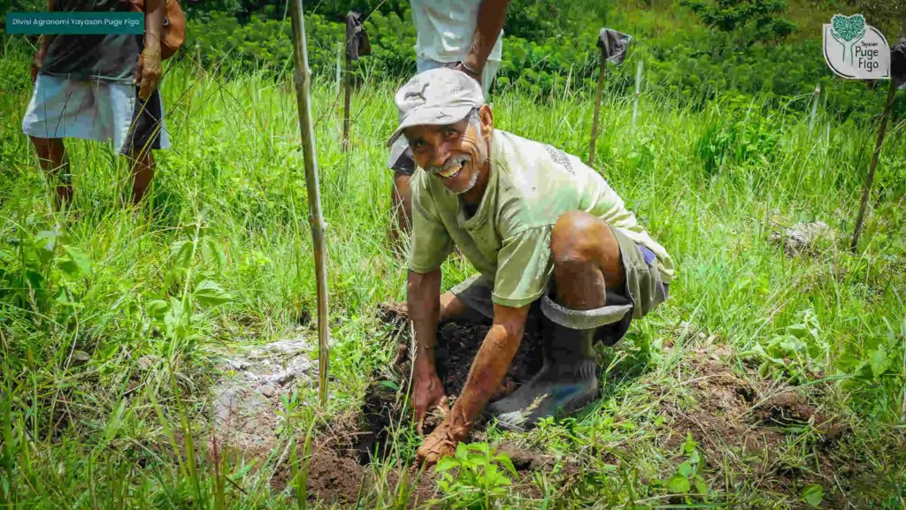 plantation sur notre projet