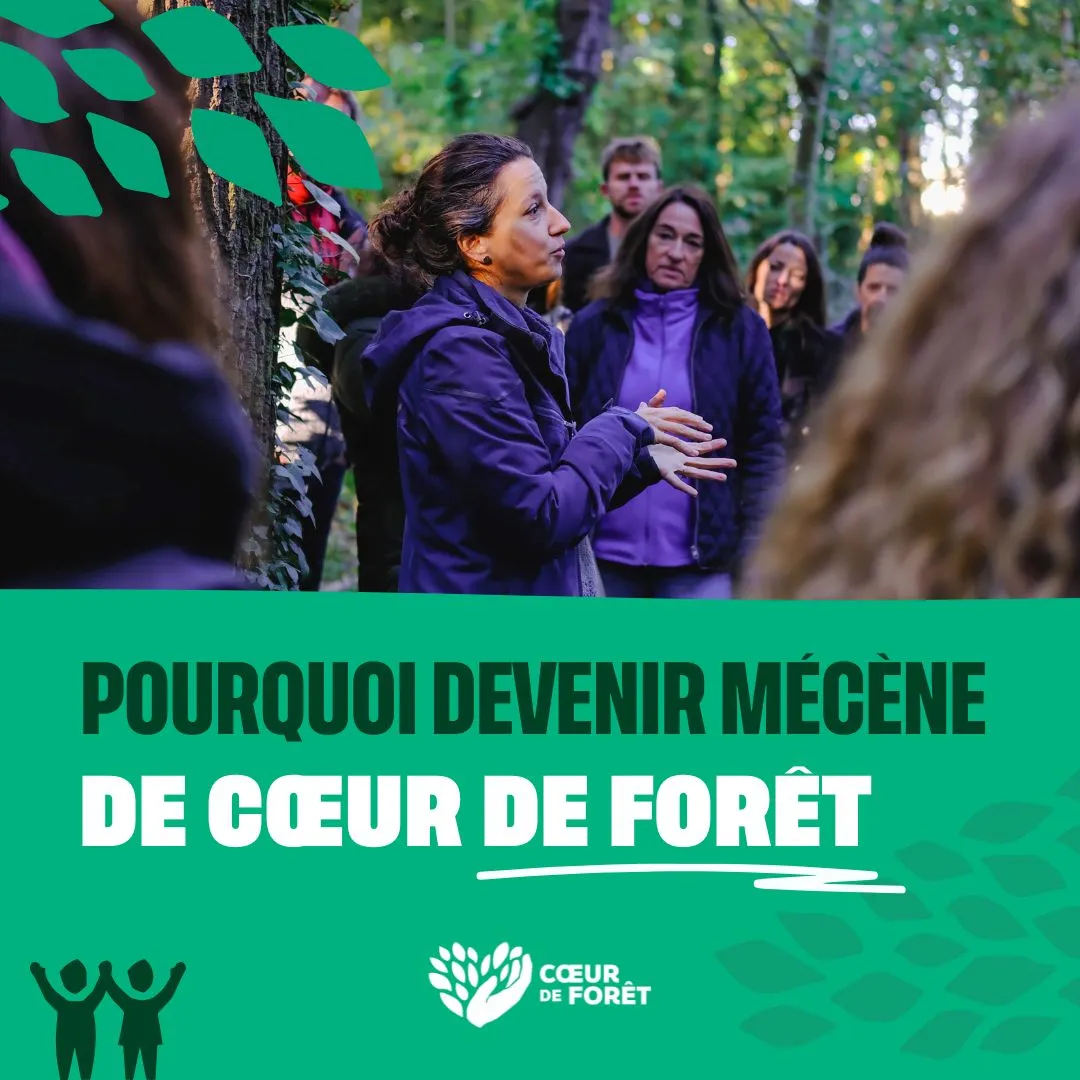 Titre pourquoi devenir mécène de Coeur de Forêt sur un bandeau vert et au dessus Charlotte la directrice qui anime une balade en forêt