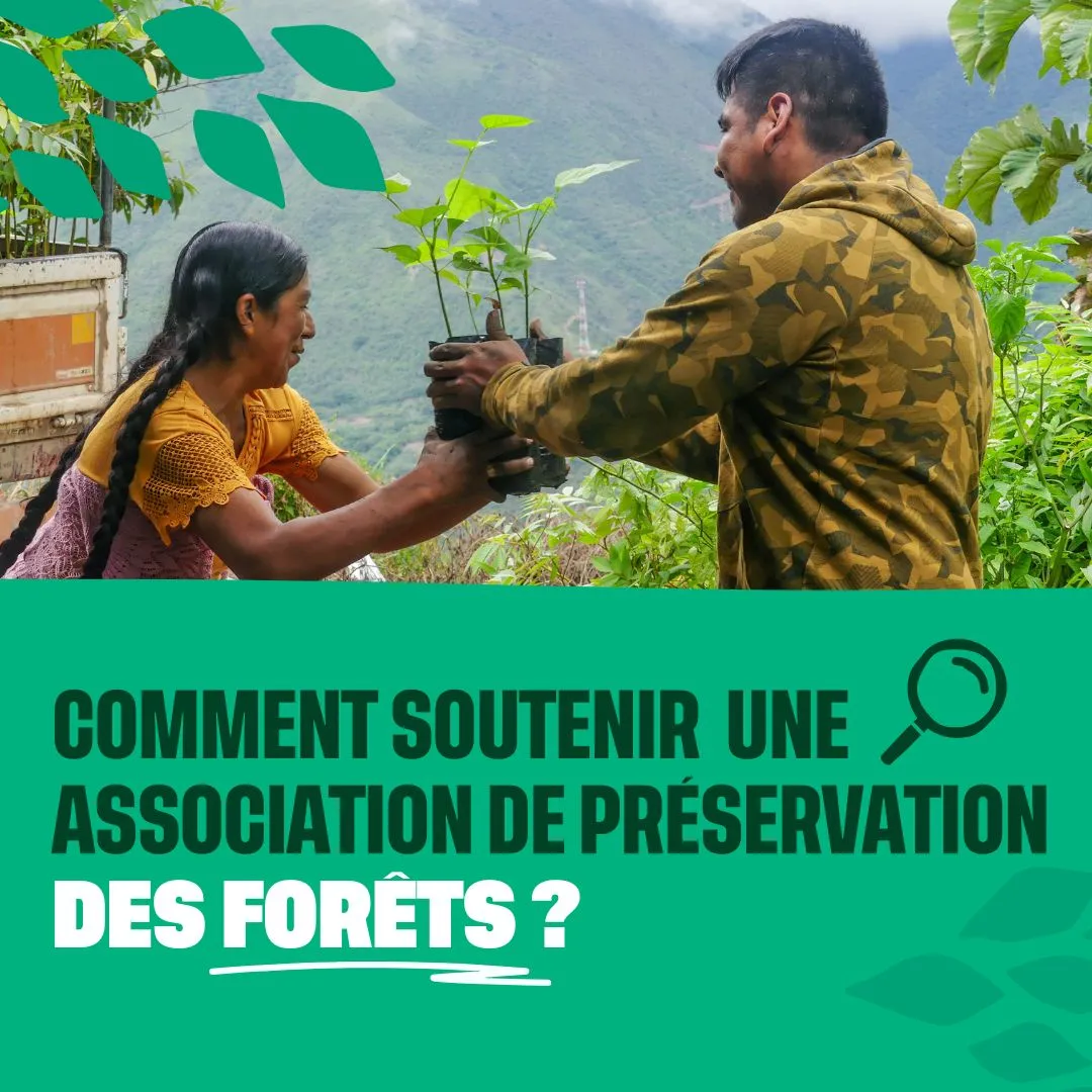Plantation d'un arbre avec un bandeau vert et dessus en titre : Comment soutenir une association de préservation des forêts