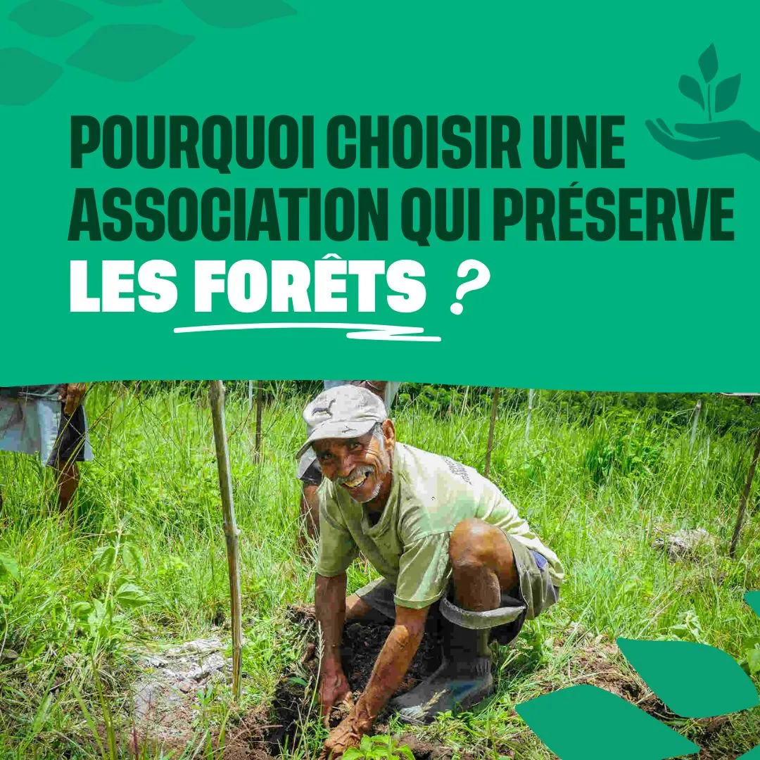 pourquoi choisir une association qui préserve les forêts