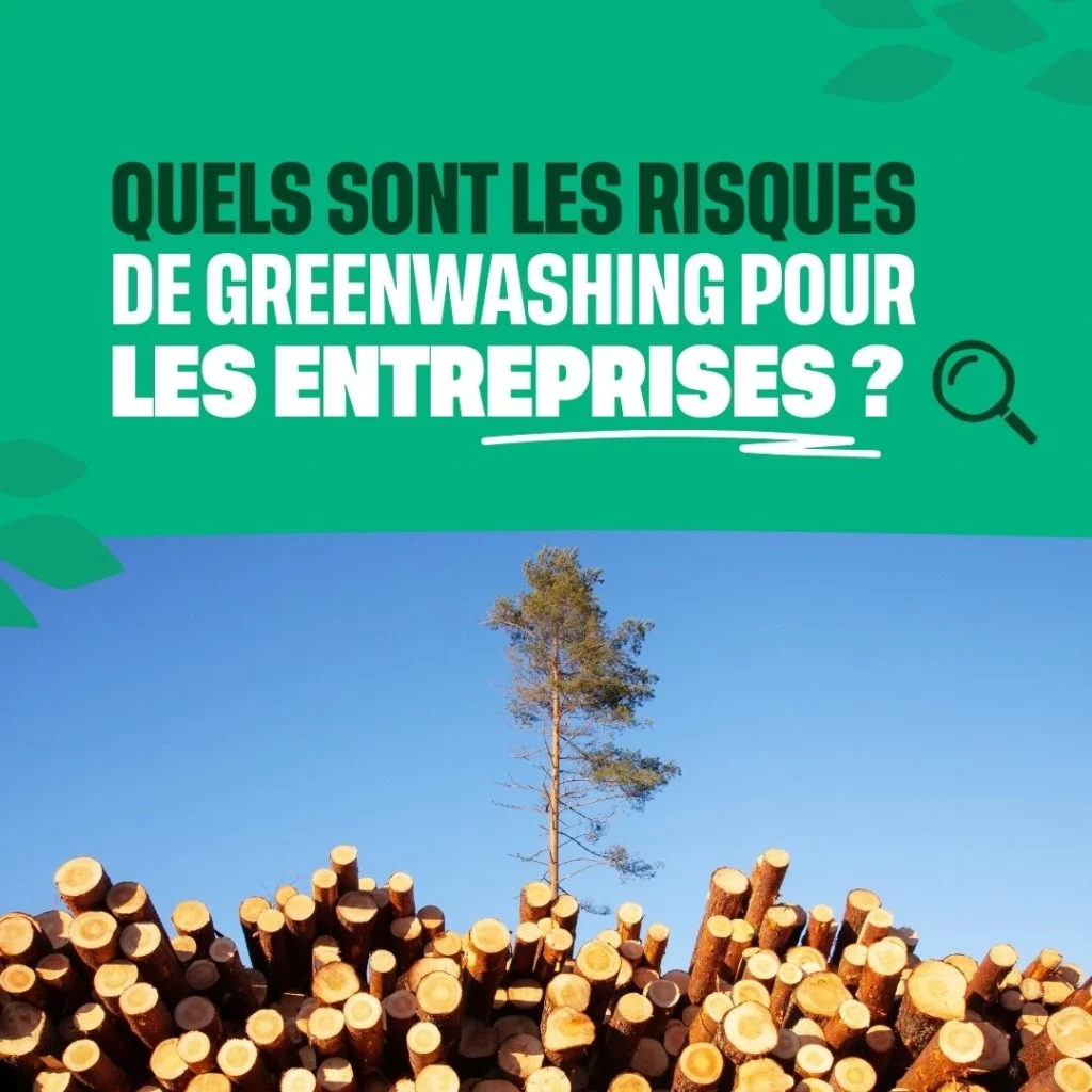 pile de tronc d'arbres coupés avec un seul arbre debout. Au dessus un bandeau vert avec écrit : quels sont les risques de greenwashing pour les entreprises ?