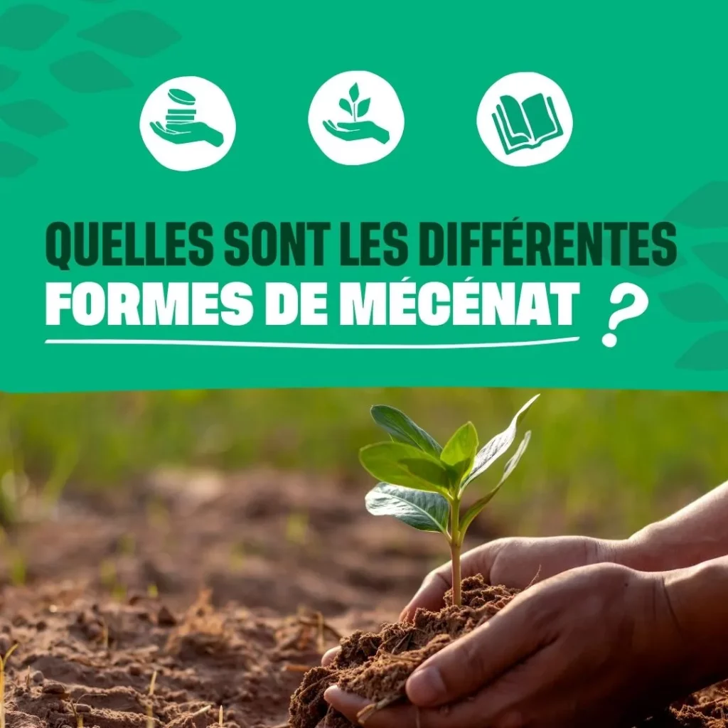 mains qui tiennent la pousse d'un arbre avec un bandeau vert au dessus qui a pour titre : quelles sont les différentes formes de mécénat