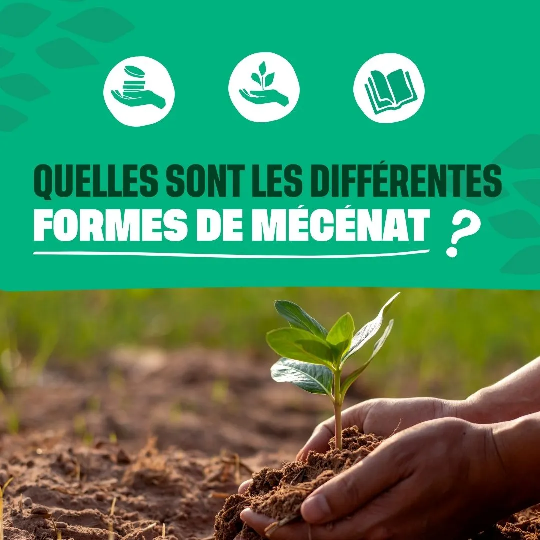 mains qui tiennent la pousse d'un arbre avec un bandeau vert au dessus qui a pour titre : quelles sont les différentes formes de mécénat