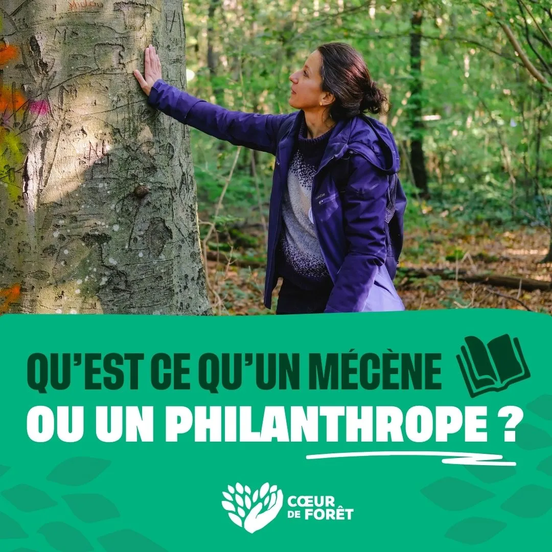 Charlotte qui touche un arbre avec sa main en dessous un bandeau vert avec pour titre : qu'est ce qu'un mécène ou un philanthrope
