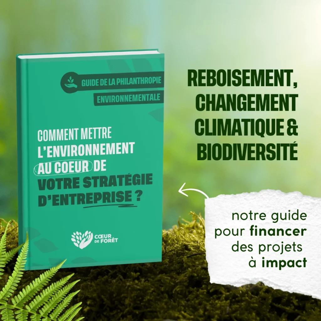 Guide de la philanthropie environnementale, Tome 1 : Comment mettre l’environnement au cœur de votre stratégie d’entreprise ?